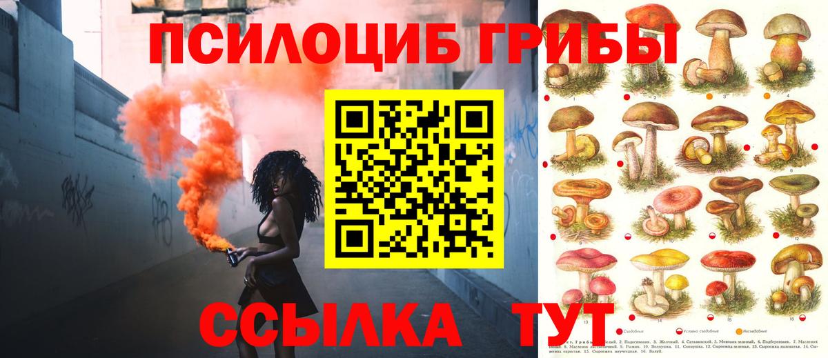 Галлюциногенные грибы мицелий Южно-Сахалинск